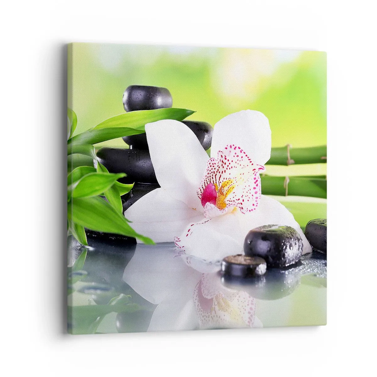 Canvas picture - Cool Freshness - 40x40 cm