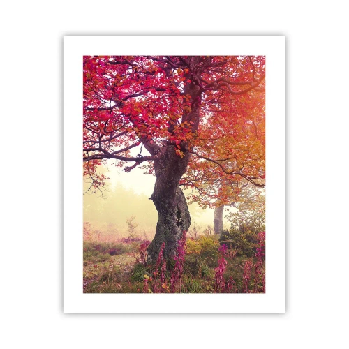 Poster - In Full Bloom - 40x50 cm