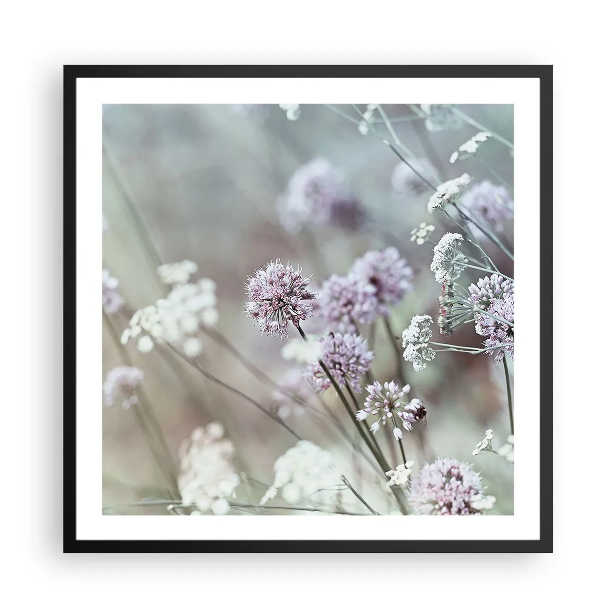 Poster in black frame - Sweet Filigrees of Herbs - 60x60 cm