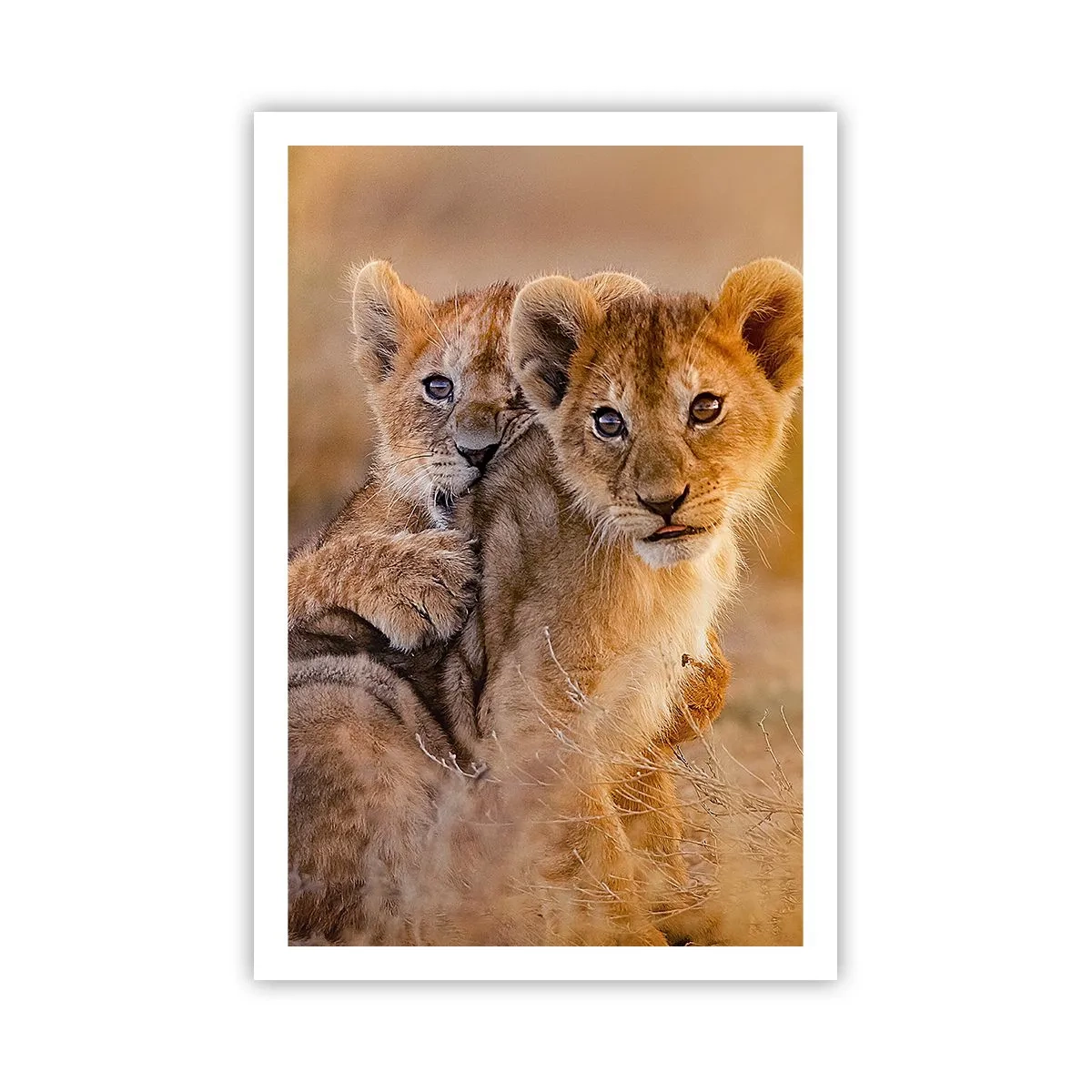 Poster - Do Not Disturb! We Are Playing - 61x91 cm