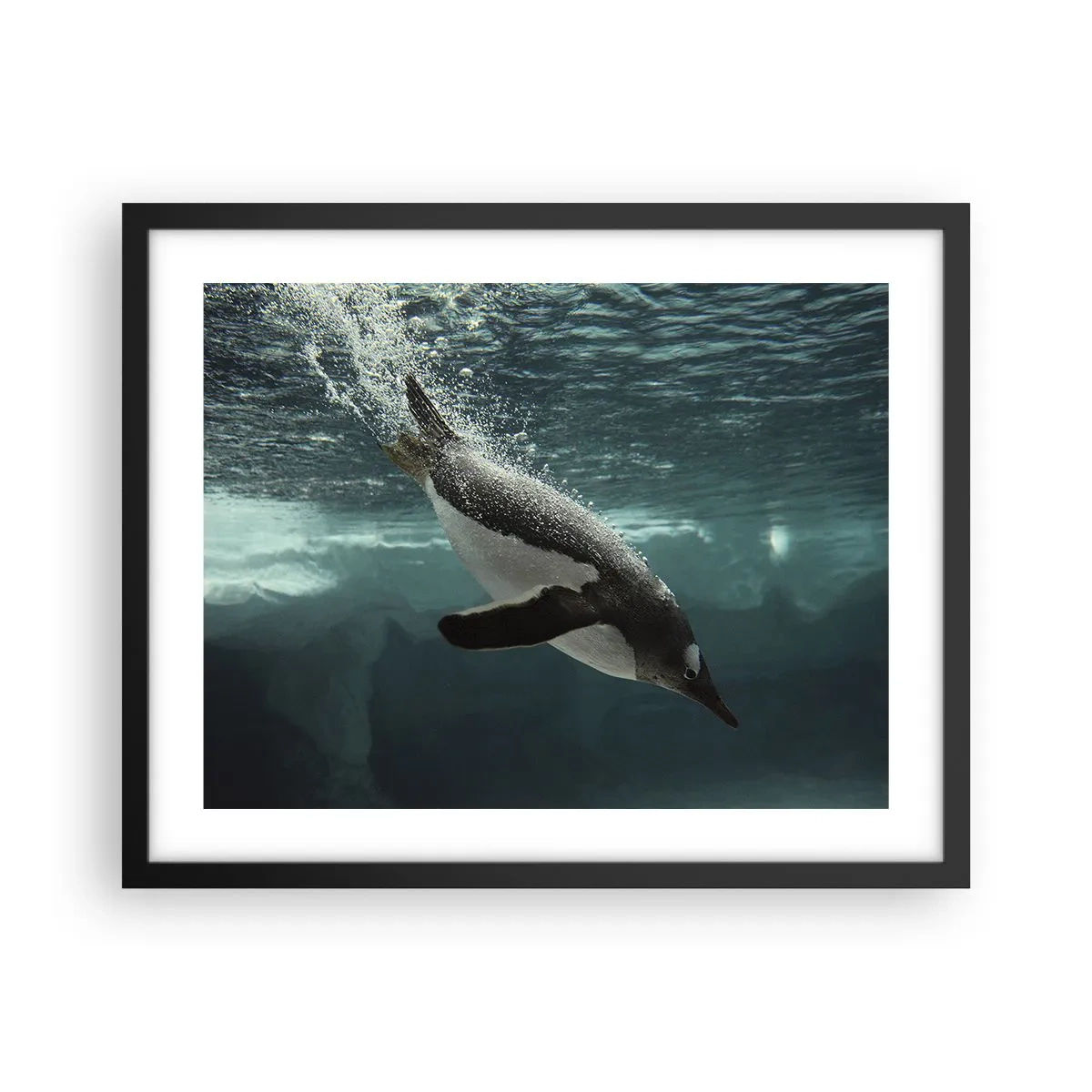 Poster in black frame - Welcome to My World - 50x40 cm