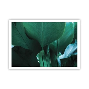 Poster - Turned towards Light - 100x70 cm