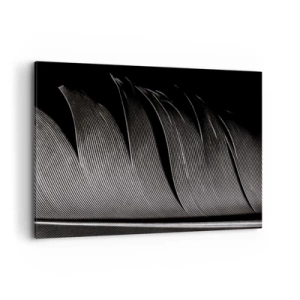 Canvas picture - Feather - Wonderful Constract - 120x80 cm