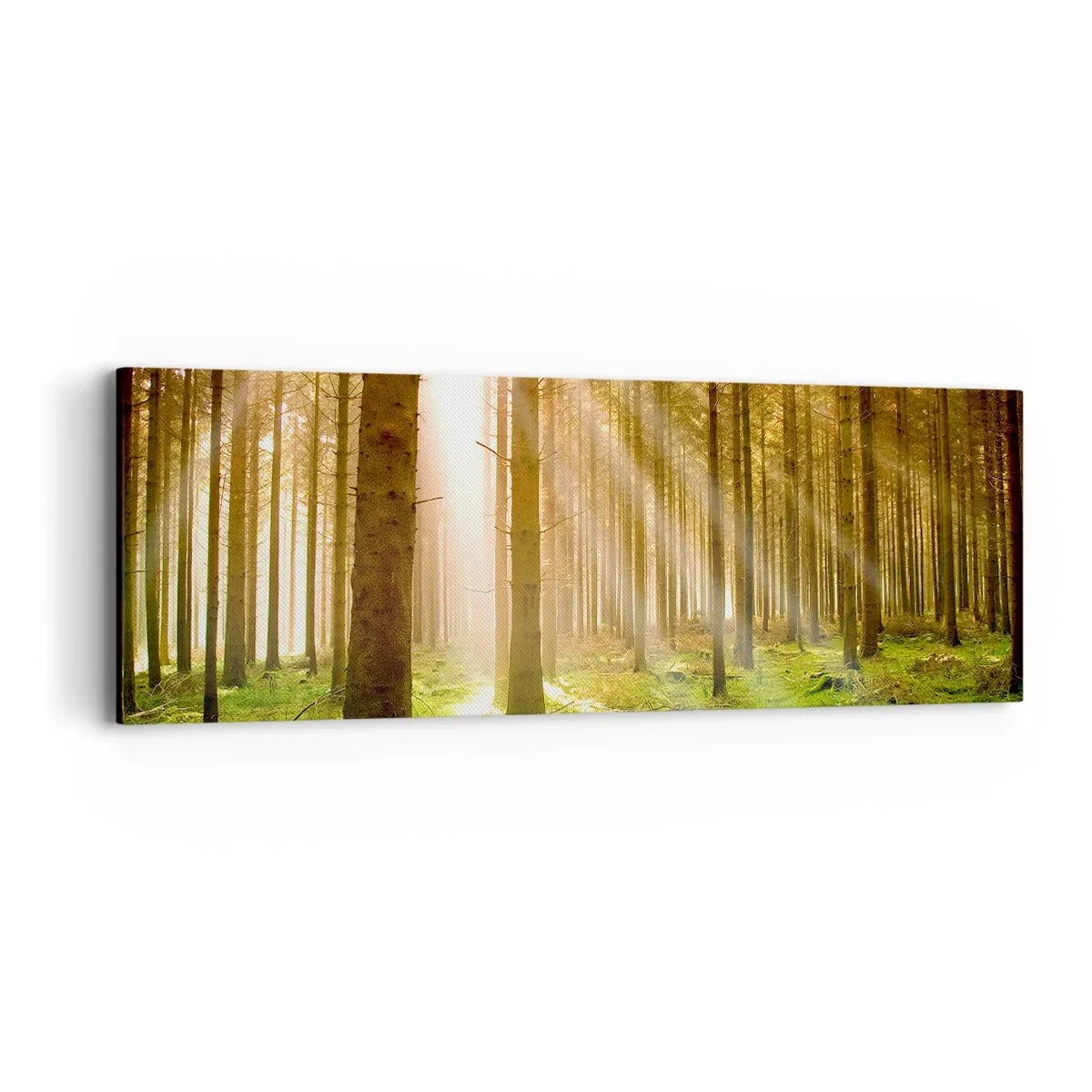 Canvas picture - Elfs Will Be Here Soon - 90x30 cm
