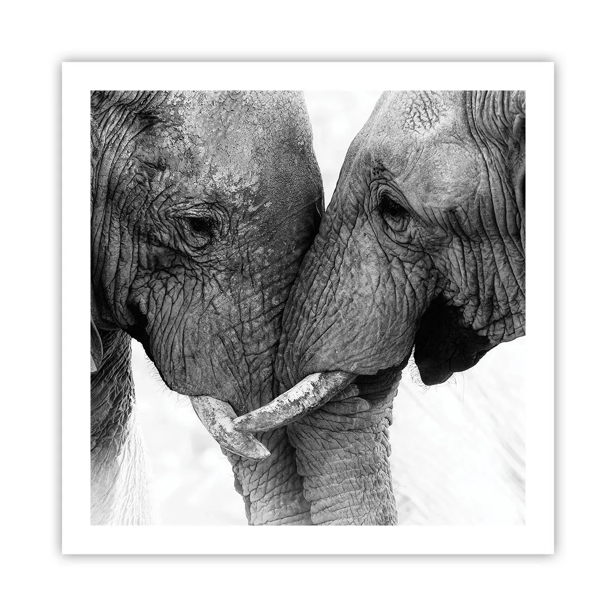 Poster - Hearty Confession - 60x60 cm