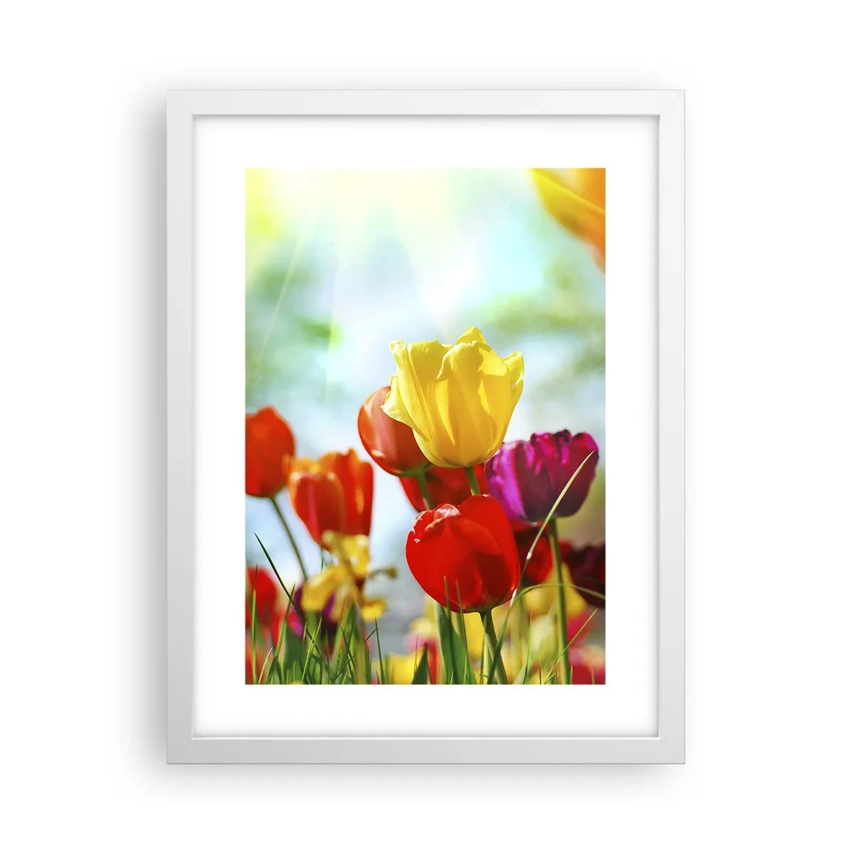 Poster in white frmae - All Colours of the Sun - 30x40 cm