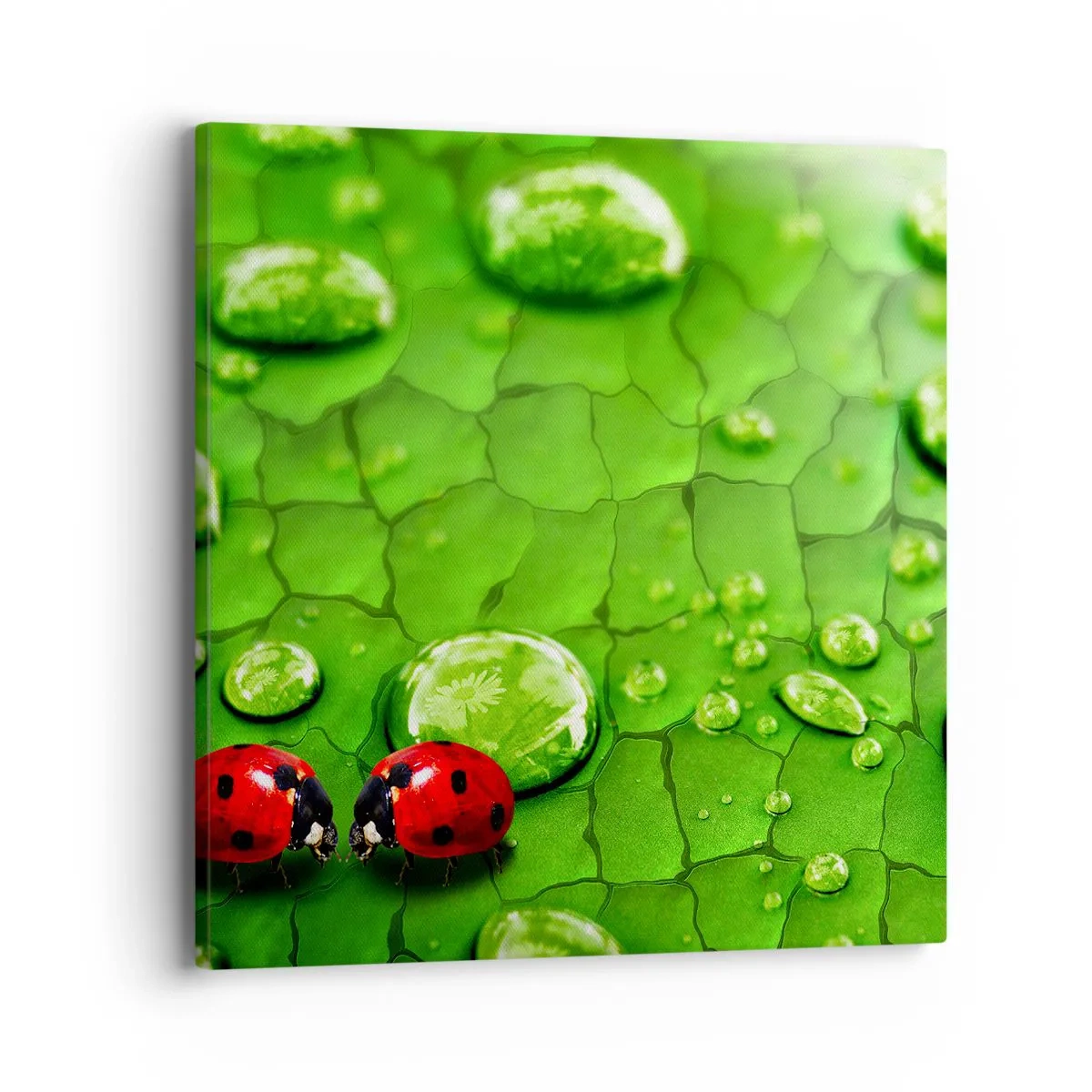 Canvas picture - Encounter in Green - 40x40 cm