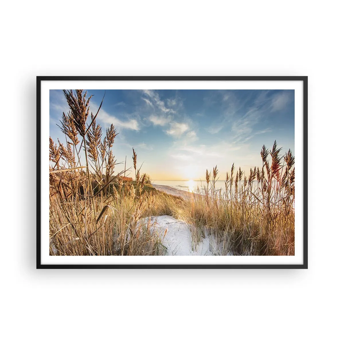 Poster in black frame - Northern Beach - 100x70 cm