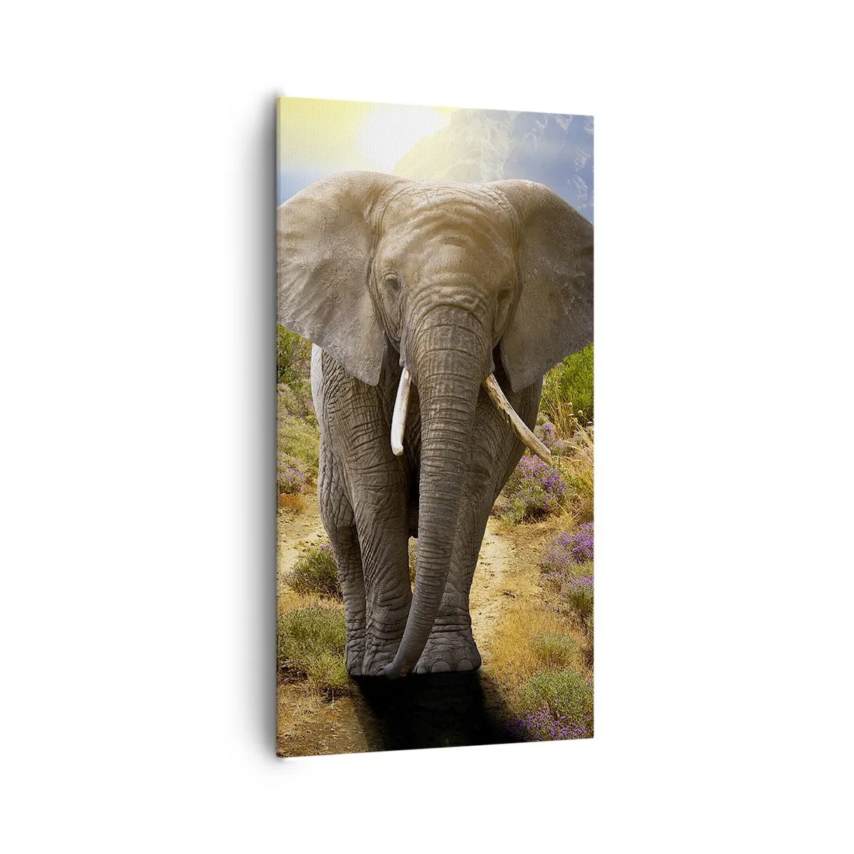 Canvas picture - This is What Eden Looked Like - 65x120 cm