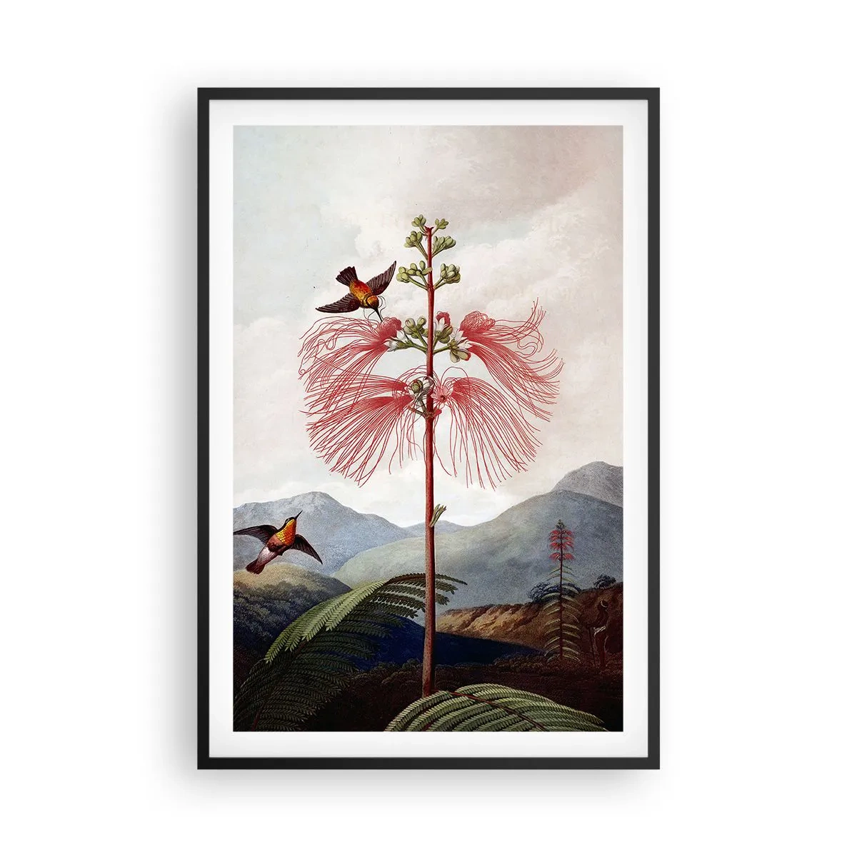 Poster in black frame - In a Tropical Paradise - 61x91 cm