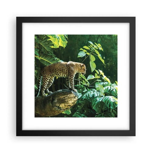 Poster in black frame - Going Hunting? - 30x30 cm