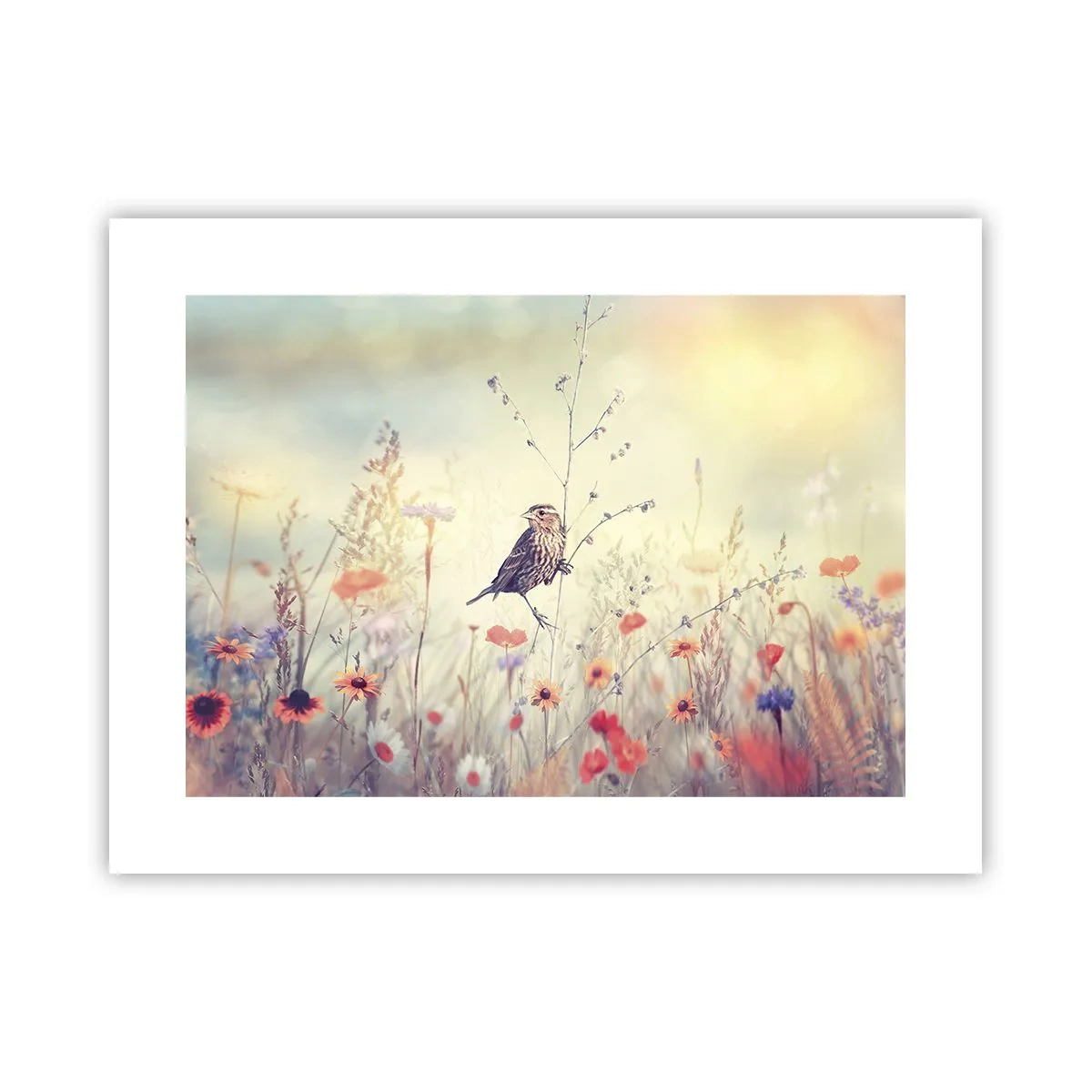 Poster - Bird Portrait with a Meadow in the Background - 40x30 cm