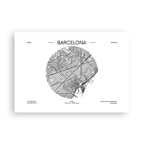 Poster - Anatomy of Barcelona - 100x70 cm