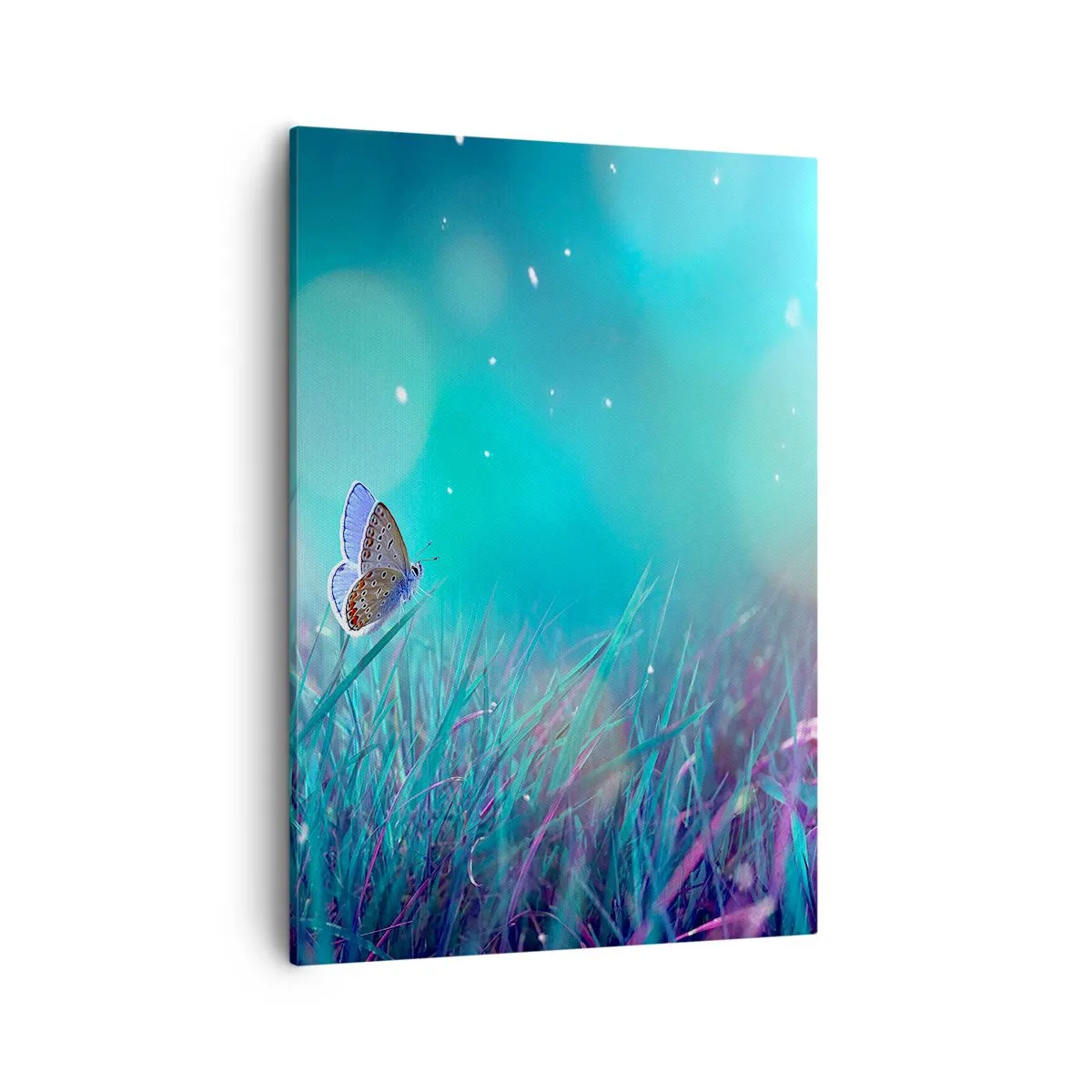 Canvas picture - Secret Life of a Meadow - 50x70 cm
