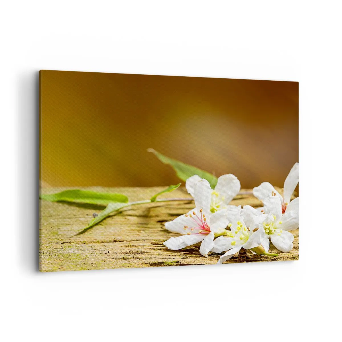 Canvas picture - Innocent Promise - 100x70 cm