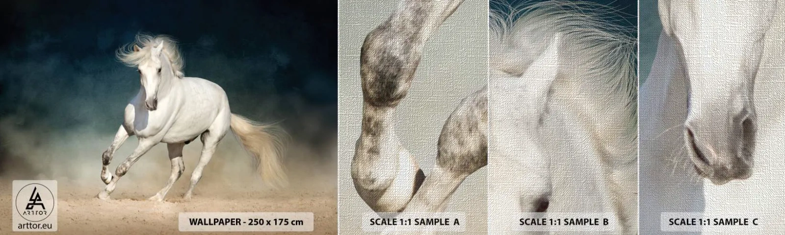 Photo Wallpaper Sample Premium Canvas - Freedom in a Pure State - Horse, Animal, White - 100x30 cm