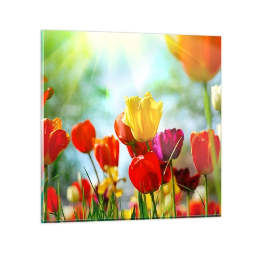 Glass picture - All Colours of the Sun - 70x70 cm