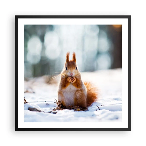 Poster in black frame - What Are You Looking at? - 60x60 cm