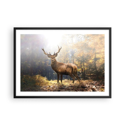 Poster in black frame - In Full Majesty - 70x50 cm