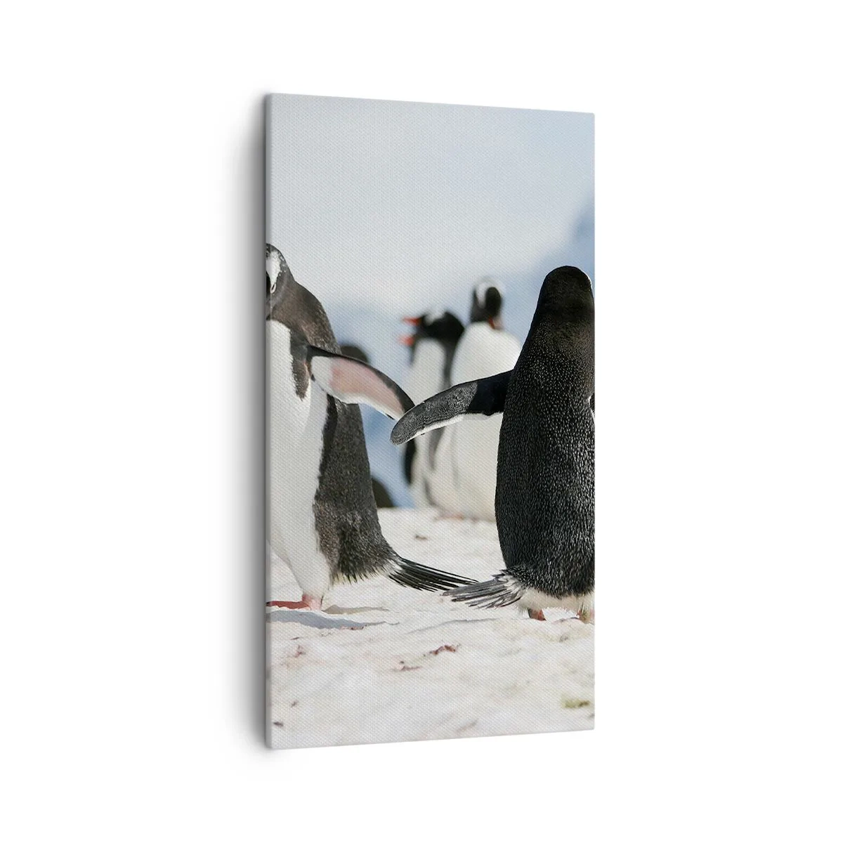 Canvas picture - Dance in the Snow - 45x80 cm