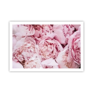 Poster - Cuddly and Fragrant - 91x61 cm