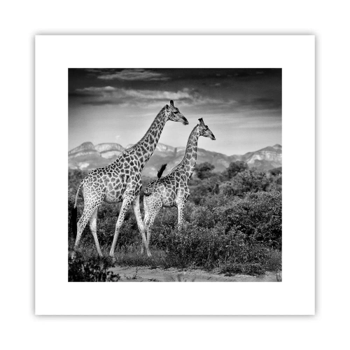 Poster - Higher Spheres in Africa - 30x30 cm