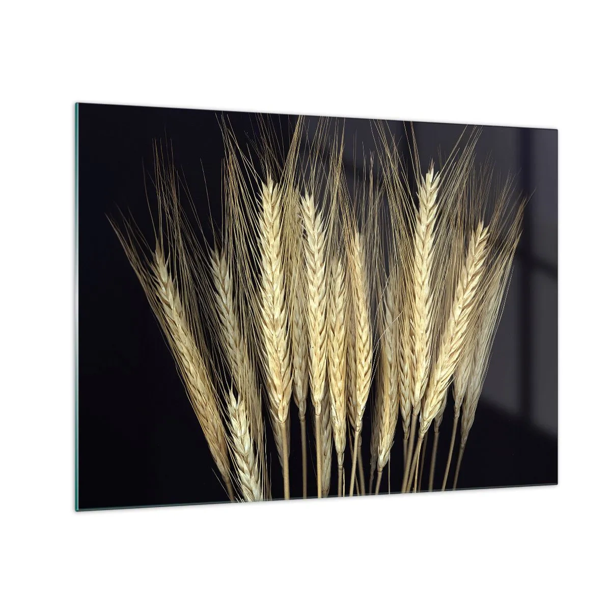 Glass picture - Grain in warm tones on a black background - 70x50cm - Rustic Magic - Modern wall decoration for the living room and bedroom ARTTOR