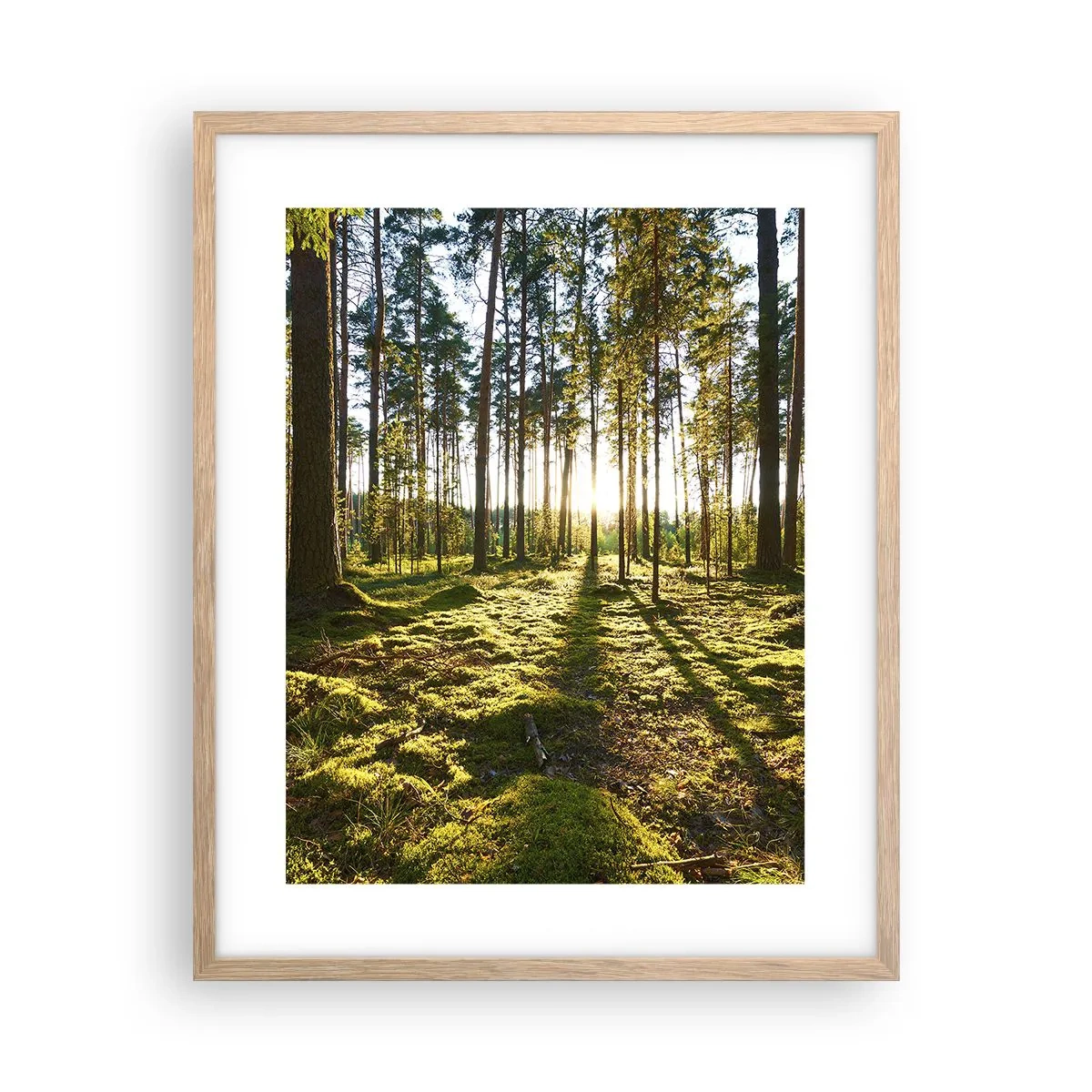 Poster in light oak frame - Deep in the Forest - 40x50 cm