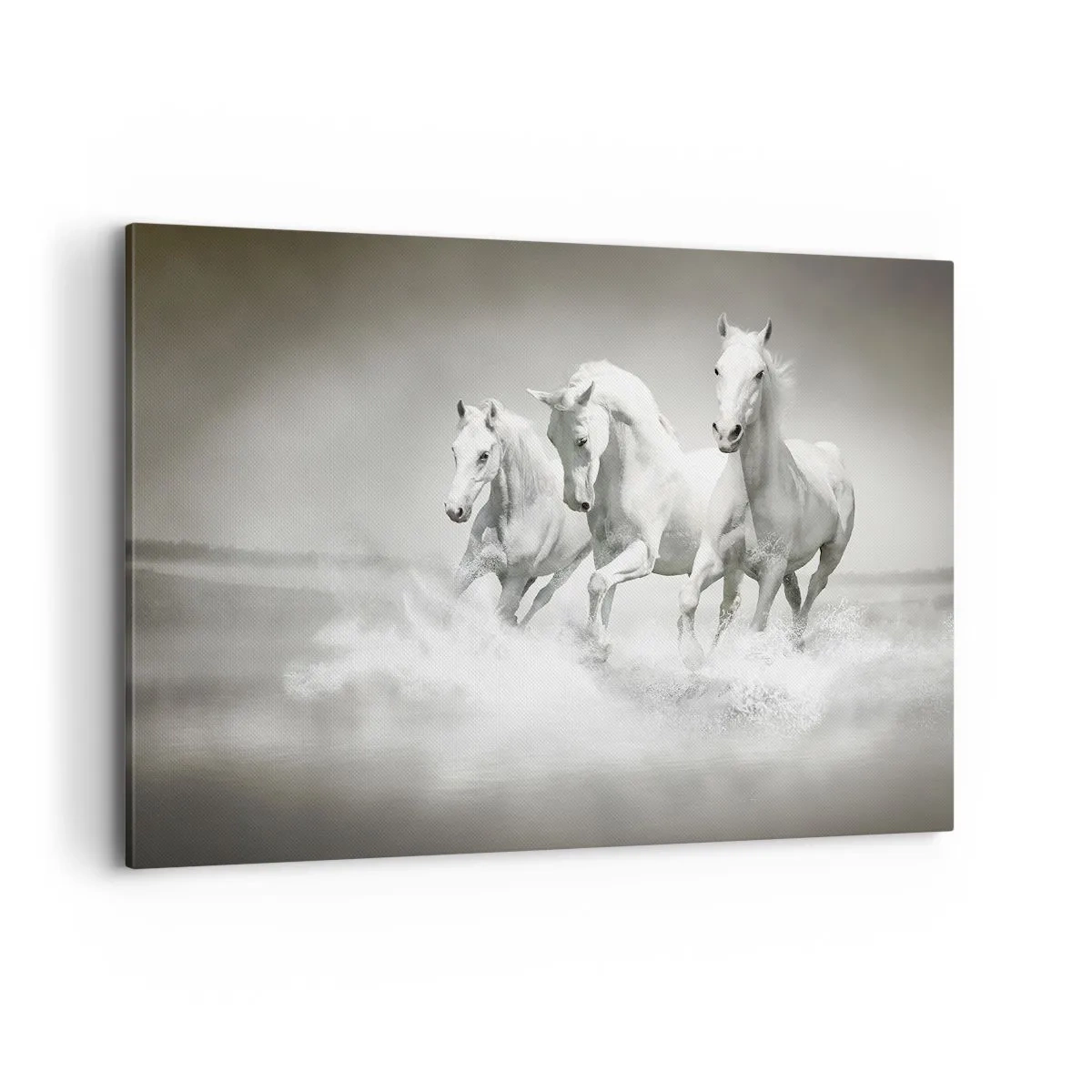 Canvas picture - White Madness - 100x70 cm
