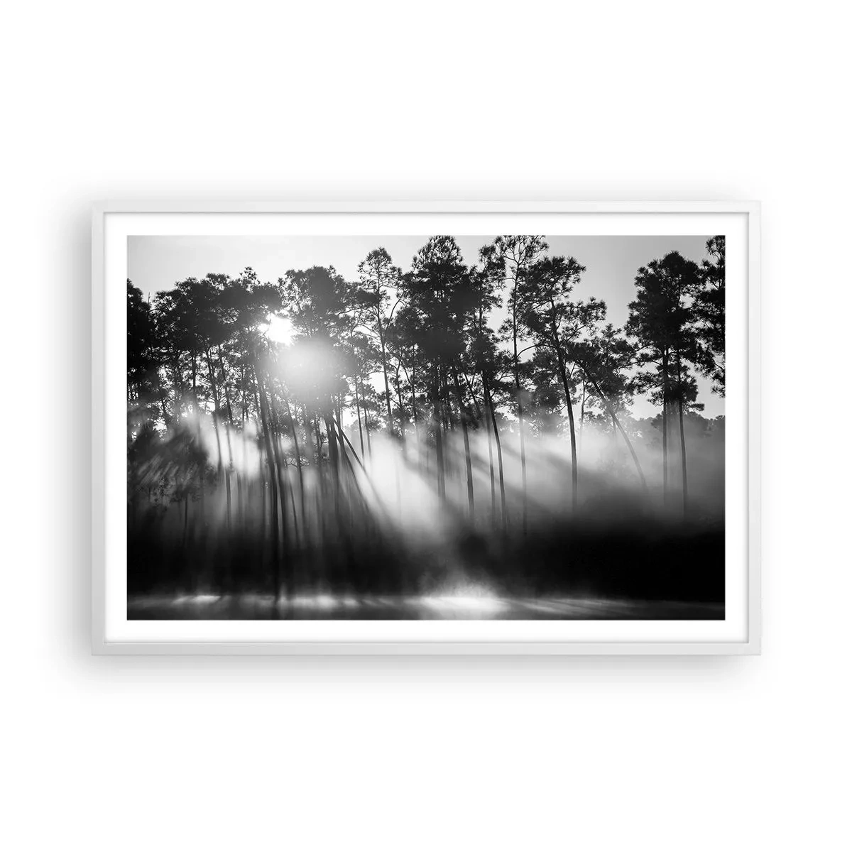 Poster in white frmae - Unstoppable Sun - 91x61 cm