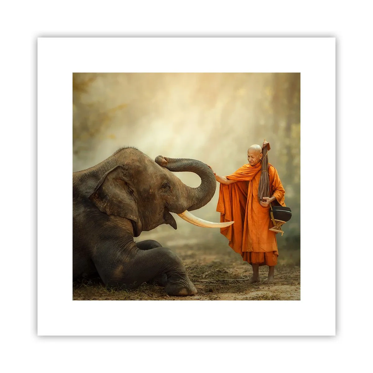 Poster - Unexpected Meeting - 30x30 cm
