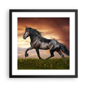 Poster in black frame - Black Prince - 40x40 cm