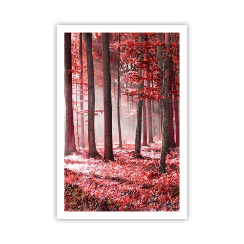 Poster - Red Equally Beautiful - 61x91 cm