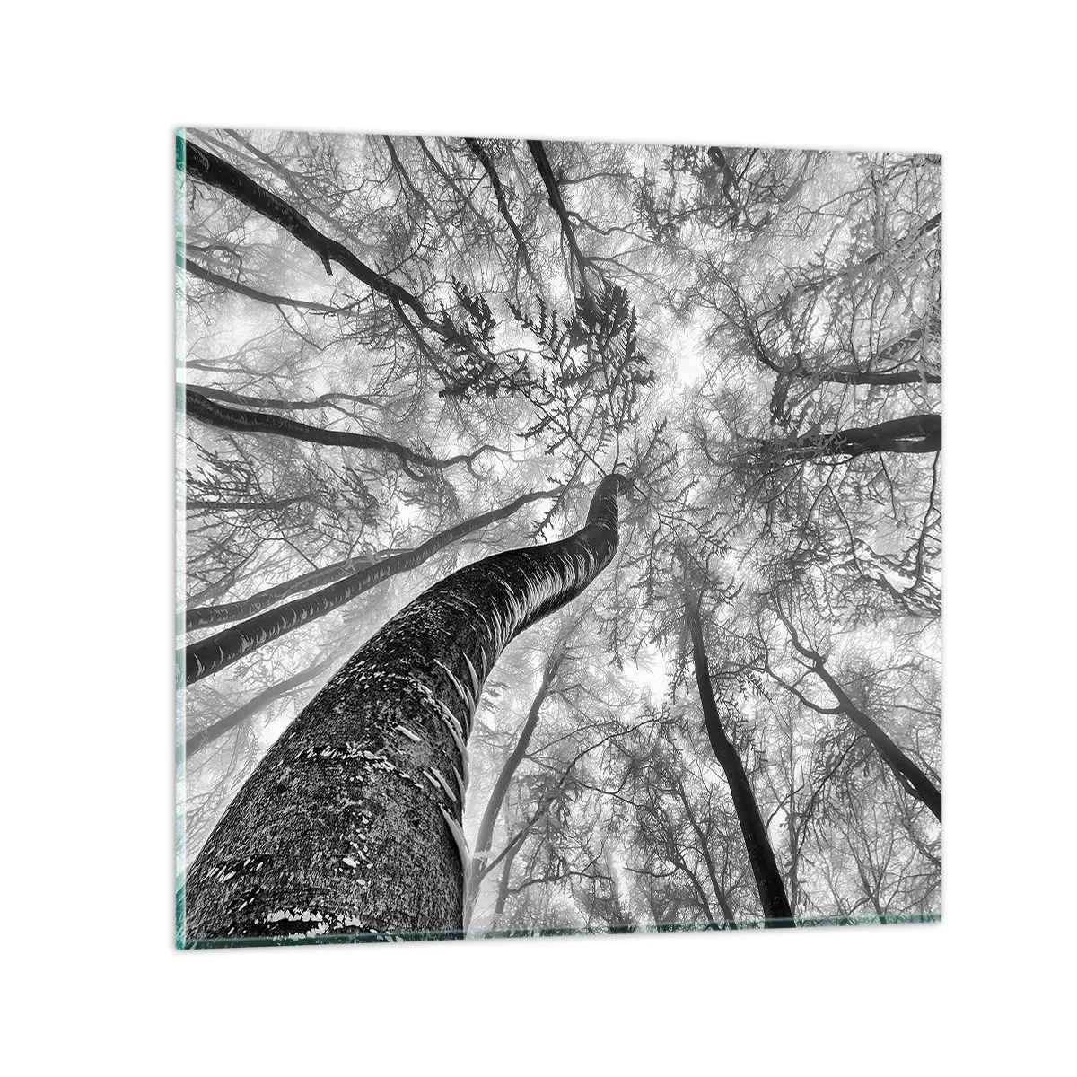 Glass picture - Race for the Light - 60x60 cm