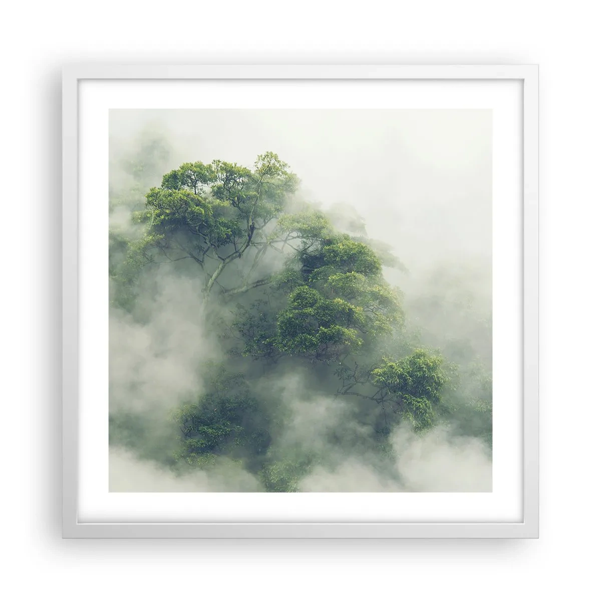 Poster in white frmae - Wrapped In Fog - 50x50 cm