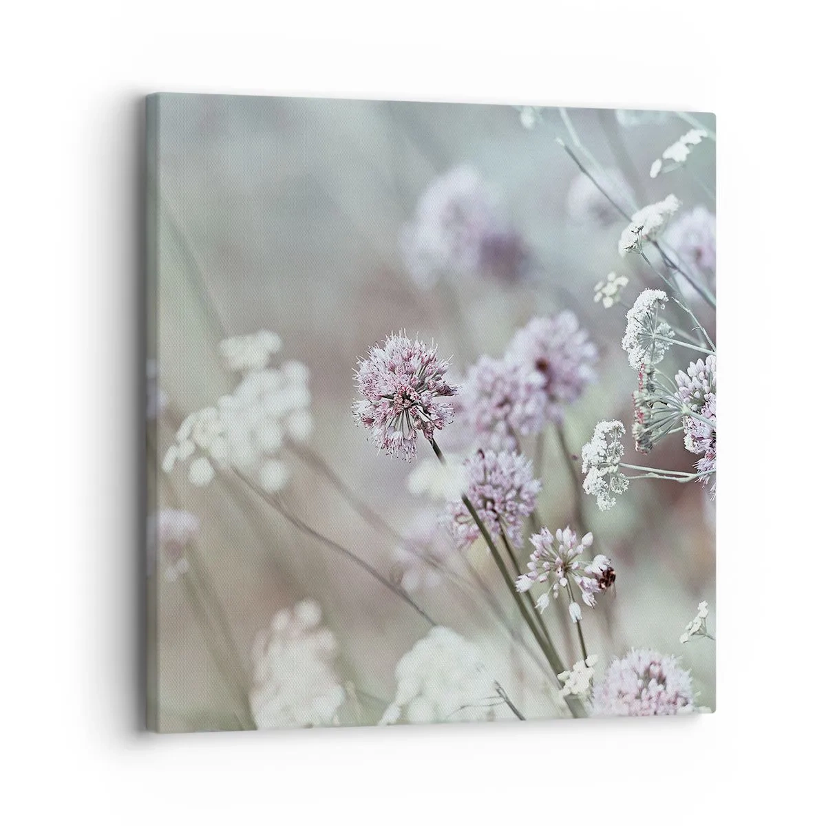 Canvas picture - Sweet Filigrees of Herbs - 30x30 cm