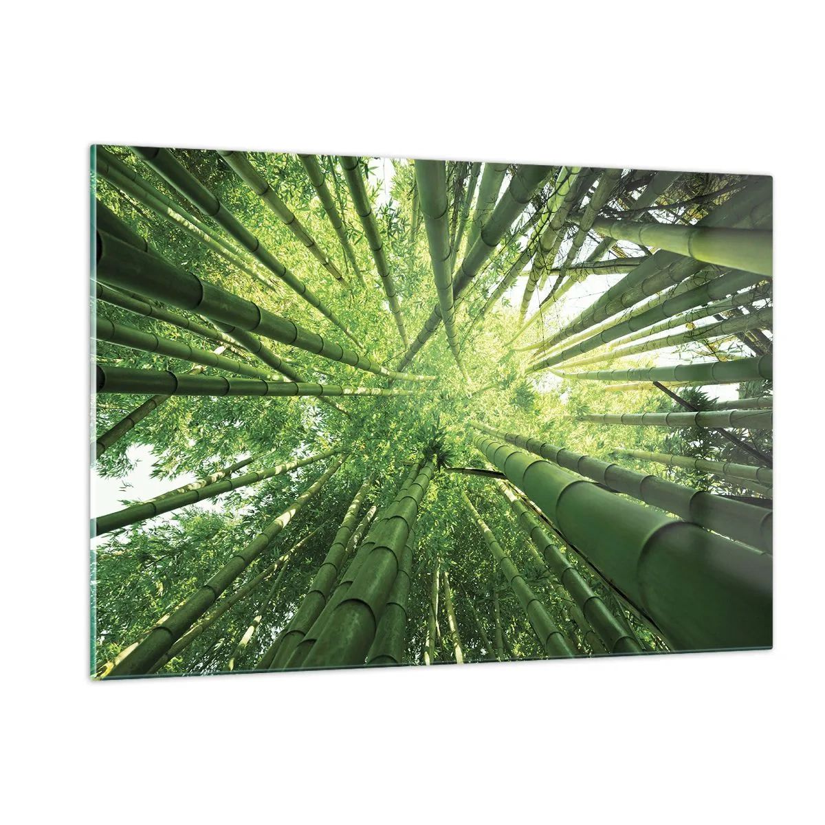 Glass picture - In a Bamboo Forest - 120x80 cm