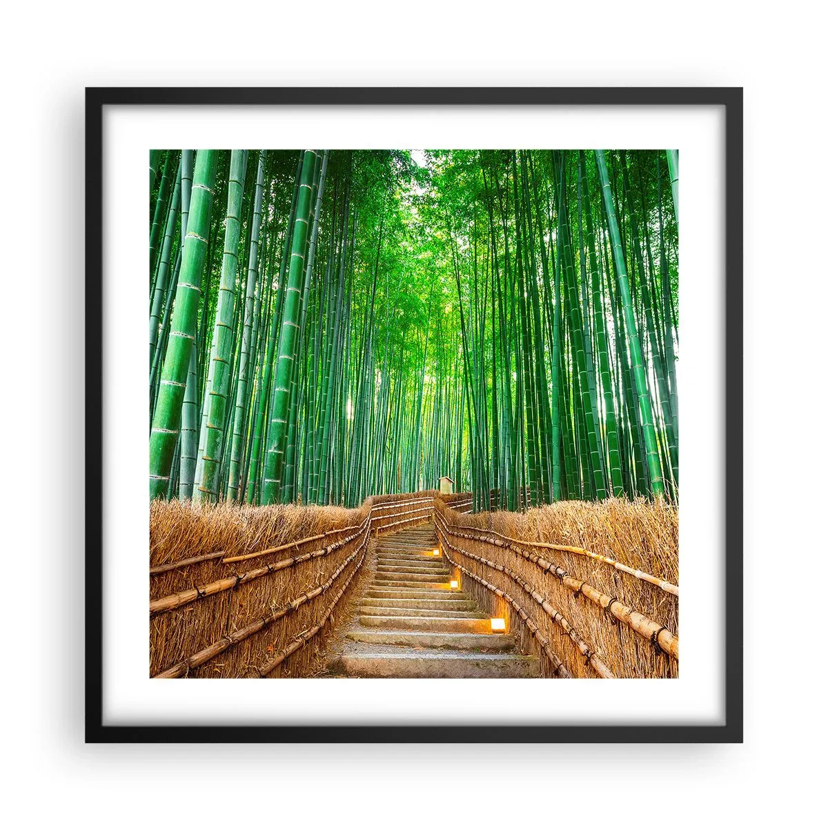 Poster in black frame - Essence of Asian Nature - 50x50 cm
