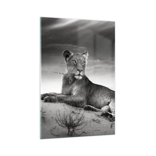 Glass picture - Queen of Desert Is Resting - 70x100 cm