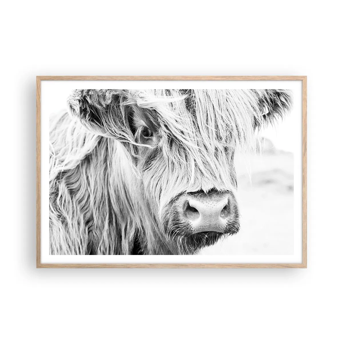 Poster in light oak frame - Scottish Wilderness - 100x70 cm