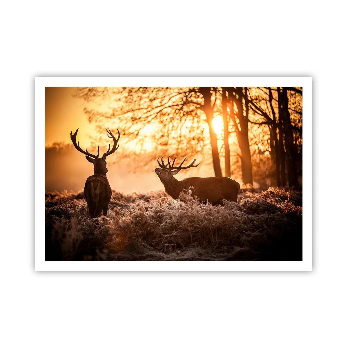 Poster - Hunter's Dream - 100x70 cm