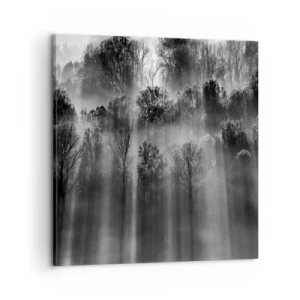 Canvas picture - In the Streams of Light - 60x60 cm