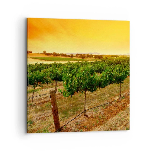 Canvas picture - Drink up the Sun - 70x70 cm