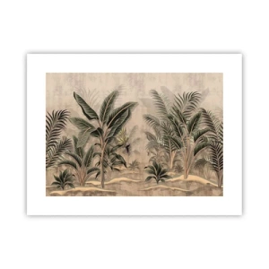 Poster - Engraving in Colonial Style - 40x30 cm