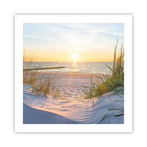Poster - Sound of the Sea, Singing of the Birds, Wild Beach among Grass - 50x50 cm