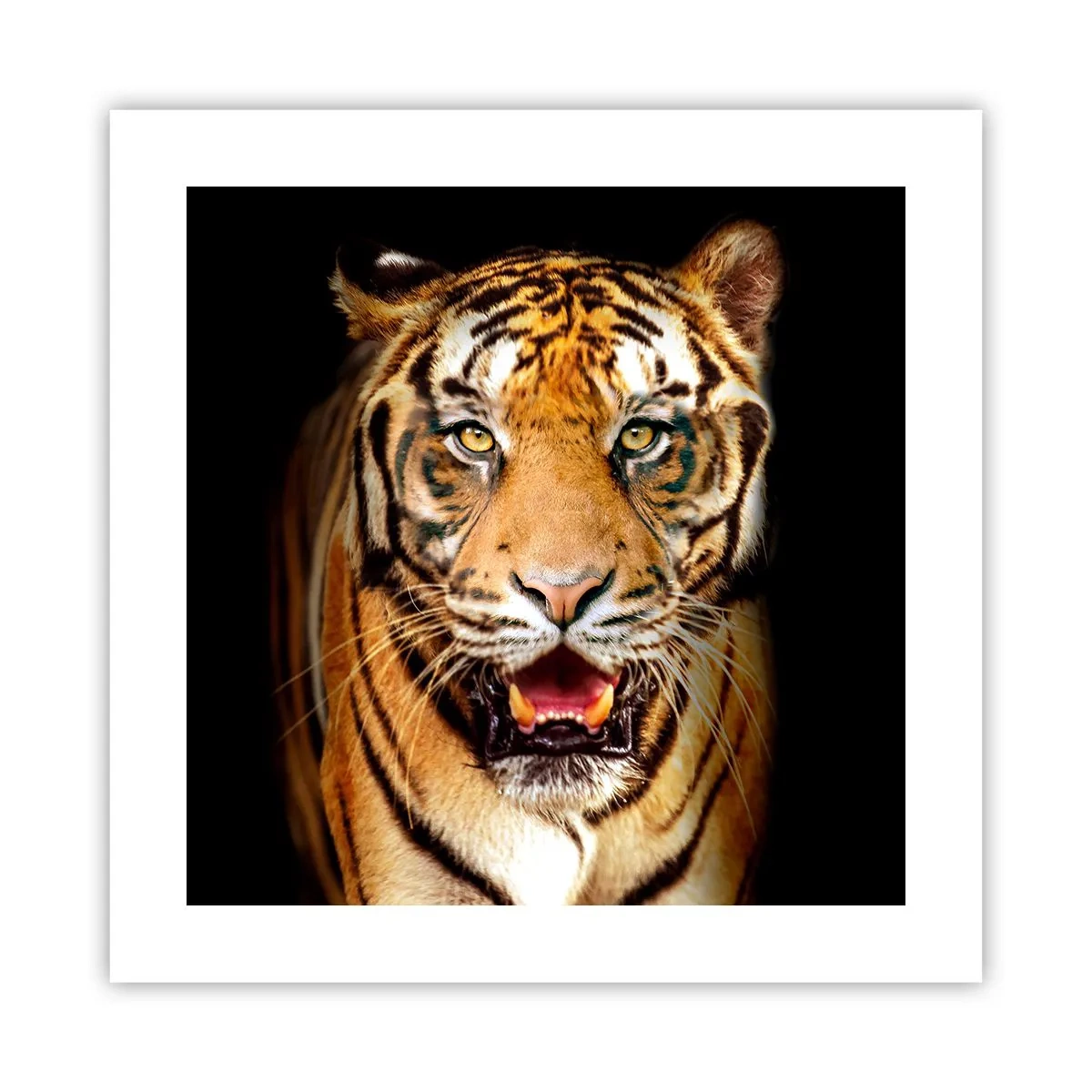 Poster - Wild at Heart - 40x40 cm