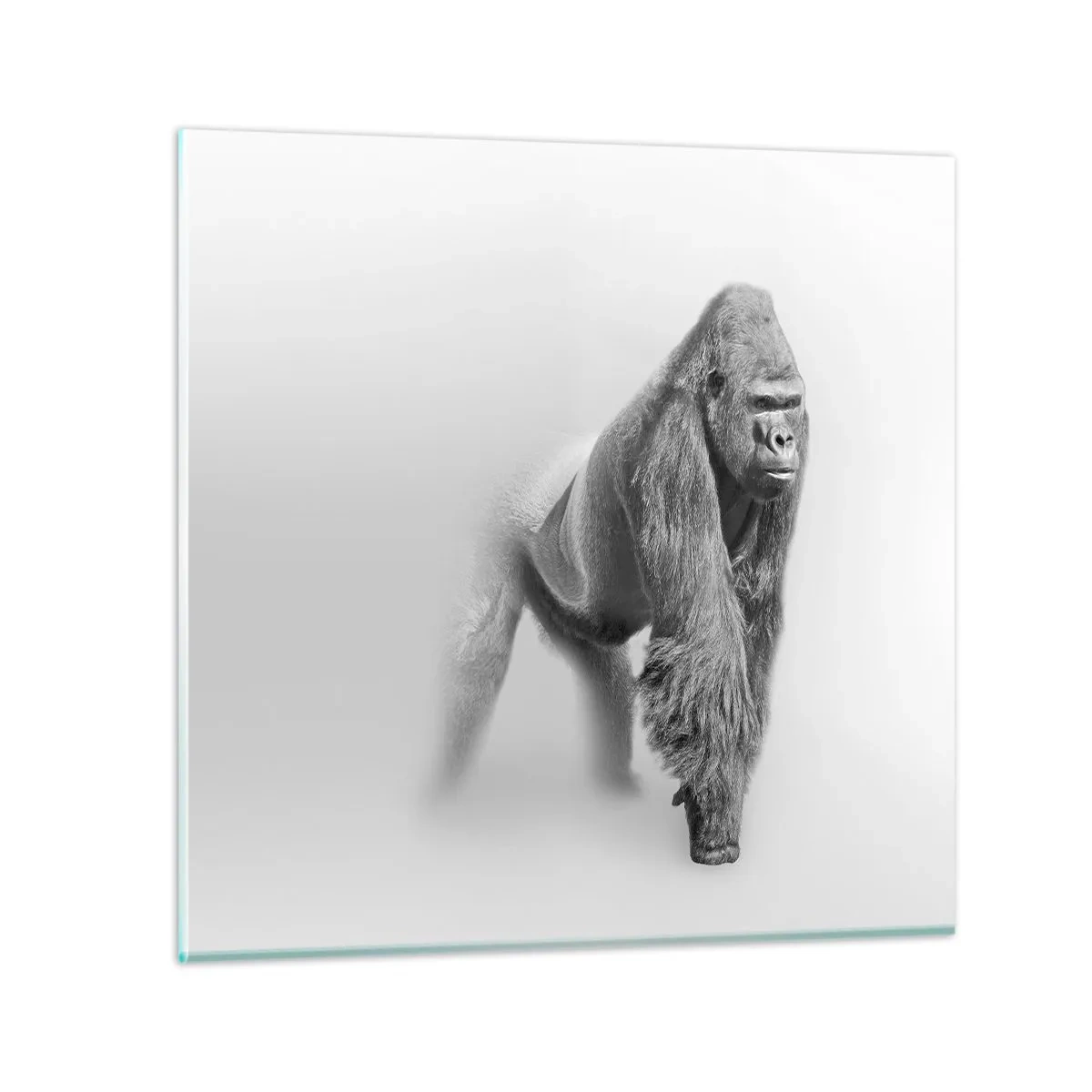 Glass picture - Certain of Its Strength - 60x60 cm