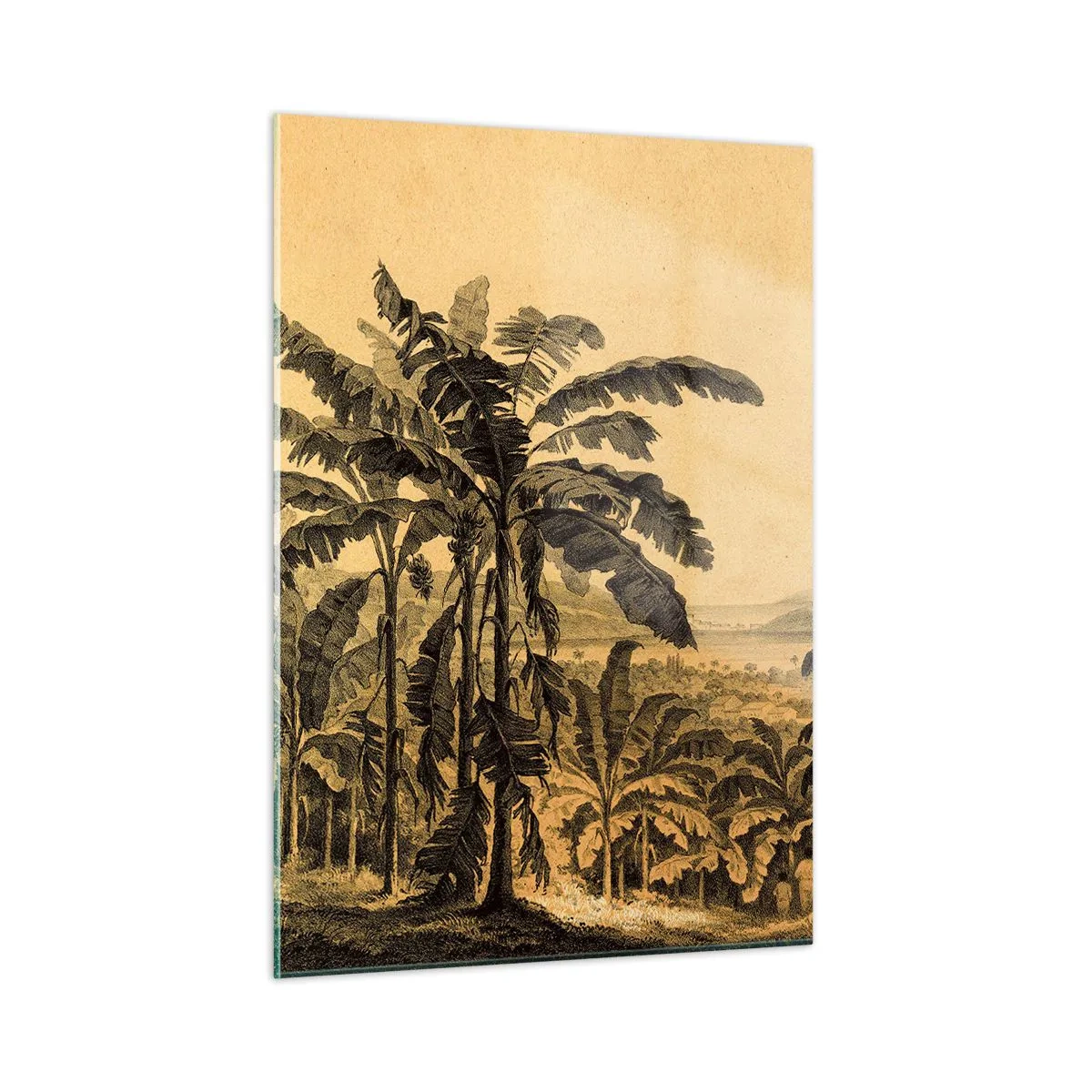 Glass picture - In Colonial Character - 50x70 cm