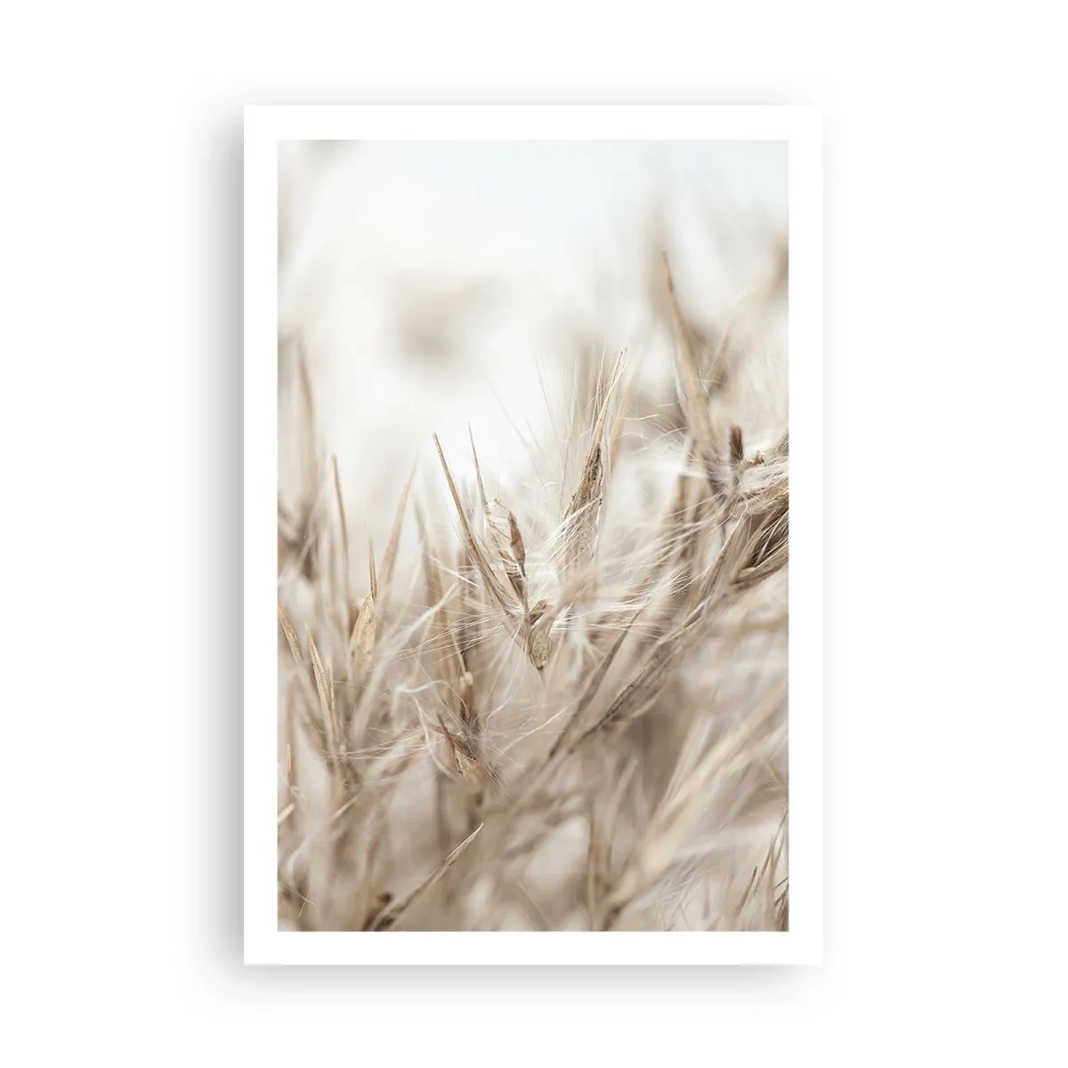 Poster - Meadow and Wind - 61x91 cm