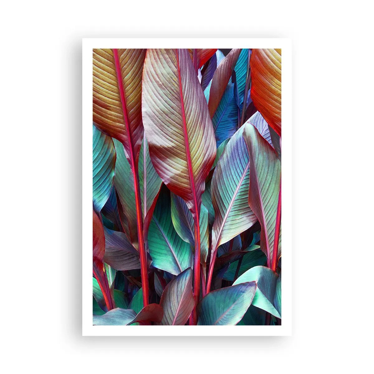 Poster - Colourful Thicket - 70x100 cm
